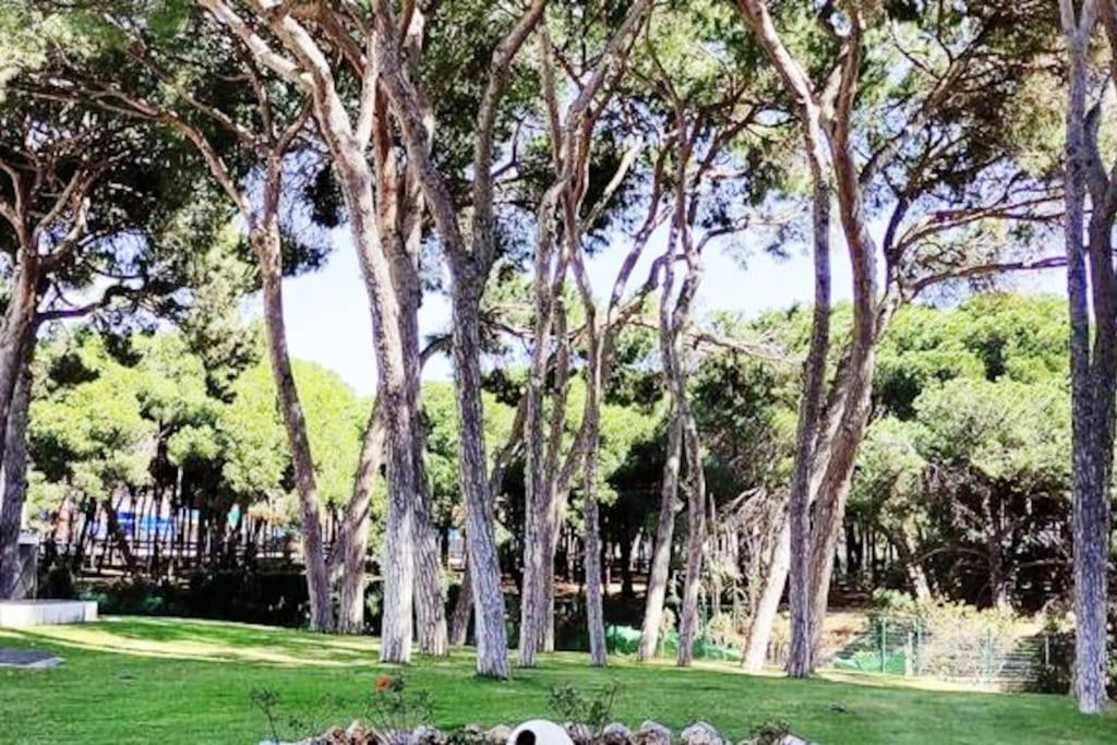 דירות Sitio de Calahonda Algaida Beachfront - Seaview Studio Costa Del Sol מראה חיצוני תמונה